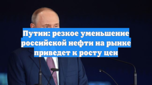 Путин: резкое уменьшение российской нефти на рынке приведет к росту цен