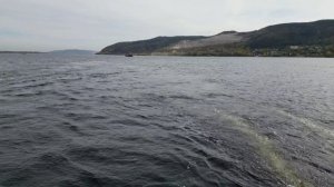 Хаусбот Cruise прогулка.mp4