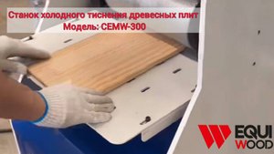 Станок для холодного тиснения CEMW-300