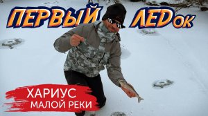ХАРИУС. ПЕРВЫЙ ЛЕД НА МАЛОЙ РЕКЕ. Душевная зимняя рыбалка