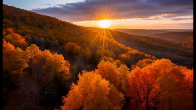 Golden Leaves Falling смотреть онлайн