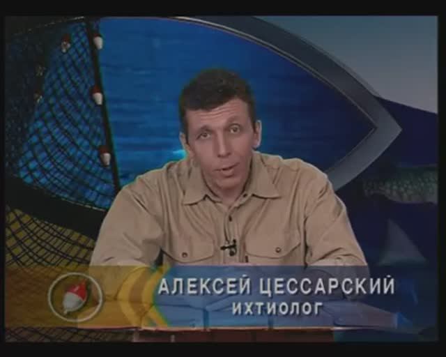 Почему самцы Терпугов из семейства Hexagrammidae Jordan, 1888 поедают часть своей отложенной икры ?