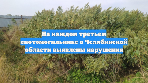 На каждом третьем скотомогильнике в Челябинской области выявлены нарушения