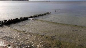 г.Пионерский 15.09.2024