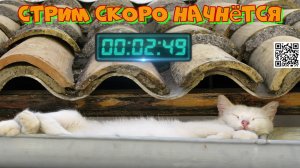 KuC__KuC задействует игру Мир Кораблей