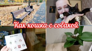 📽Я с вами прощаюсь👋Новая хозяйка в доме🐈⬛Лечу ногу, много болтовни #реальнаяжизнь