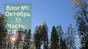 Влог № 17. Октябрь 2025. Часть 1.