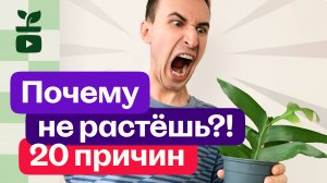 20 причин Почему твои растения не растут.