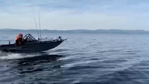 Лодка Swimmer 400z на воде (Авито)