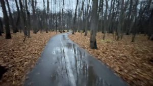 Осень, октябрь 2025