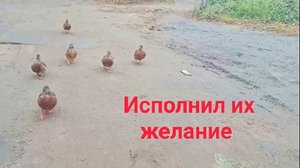Z.Б.204. Они просто хотели попасть в интернете 😉. Немного о работе и многое другое!