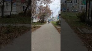 Миасс. Мысли. Много мусора в центре.