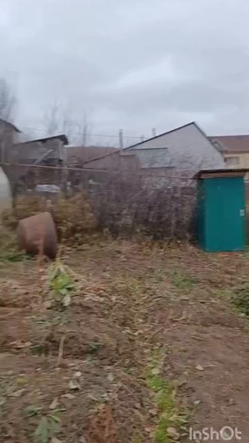 Бакова смотреть онлайн