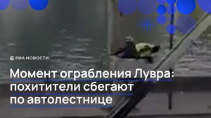 Момент ограбления Лувра: похитители сбегают по автолестнице