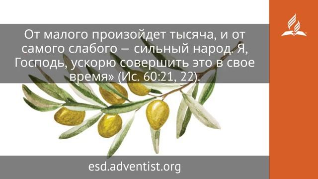 24 октября 2025. Ускорю совершить это. Под сенью благодати | Адвентисты