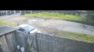 скрылись от погони