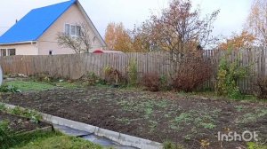 Дела дачные 18.10.25