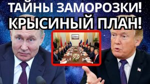 ТРАМП СЕКРЕТНЫЙ ПЛАН ПЕРЕМИРИЯ БЕЗ ТЕРРИТОРИЙ ЗЛЕНСКИЙ СОГЛАШАЕТСЯ