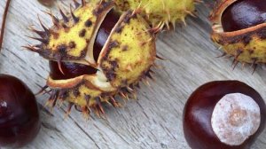 УТРО ИНГУШЕТИИ  24.10.25