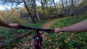 Осенний ASMR, трейл Горыныч | парк Белка в Колесе, Белокуриха