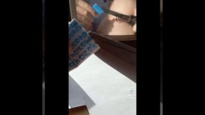 бумажные собаки из тт