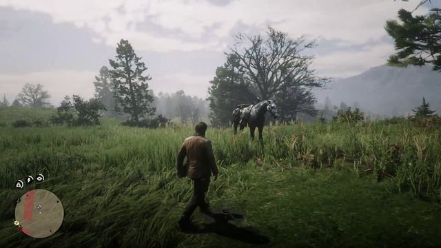 Red Dead Redemption 2 . Ловись рыбка большая и маленькая/  Резня в Валентайне и снова переезд