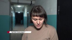 Неприятное соседство
