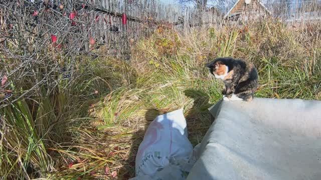 С сыном на даче. Сава снимает.