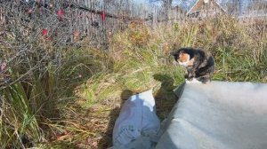 С сыном на даче. Сава снимает.