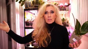 Ну вот и я решилась там заказать орхидеи. Что из этого вышло.