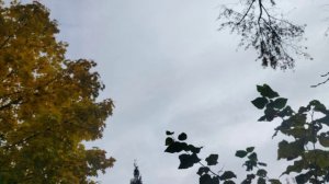 Над Калужской областью уничтожили семь БПЛА