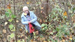 Пошли мы по грибы и...