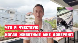 Что я чувствую, когда животные мне доверяют