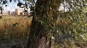 23-10-2025 распаковка чек