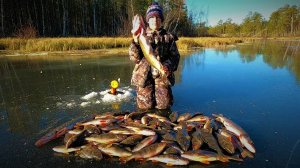 НОВОЕ МЕСТО И НОВЫЙ ПЕРВЫЙ ЛЁД 25-26 ТОЖЕ БЫЛ КЛЁВЫМ И ОЧЕНЬ РЫБНЫЙ!