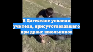 В Дагестане уволили учителя, присутствовавшего при драке школьников