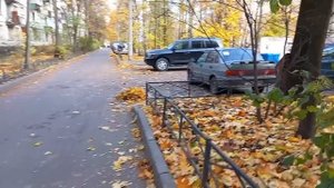 23 октября 2025. Растаможенка. Невстречающий кот.