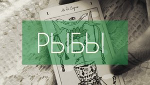 НОЯБРЬ прогноз на месяц