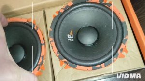 DL audio Gryphon Pro 130 Midbass