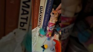 3 сезон 33 серия опасный допрос