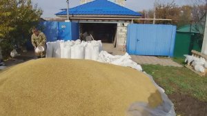 Закупка ячменя / У нас пополнение /Наш фермерский день.