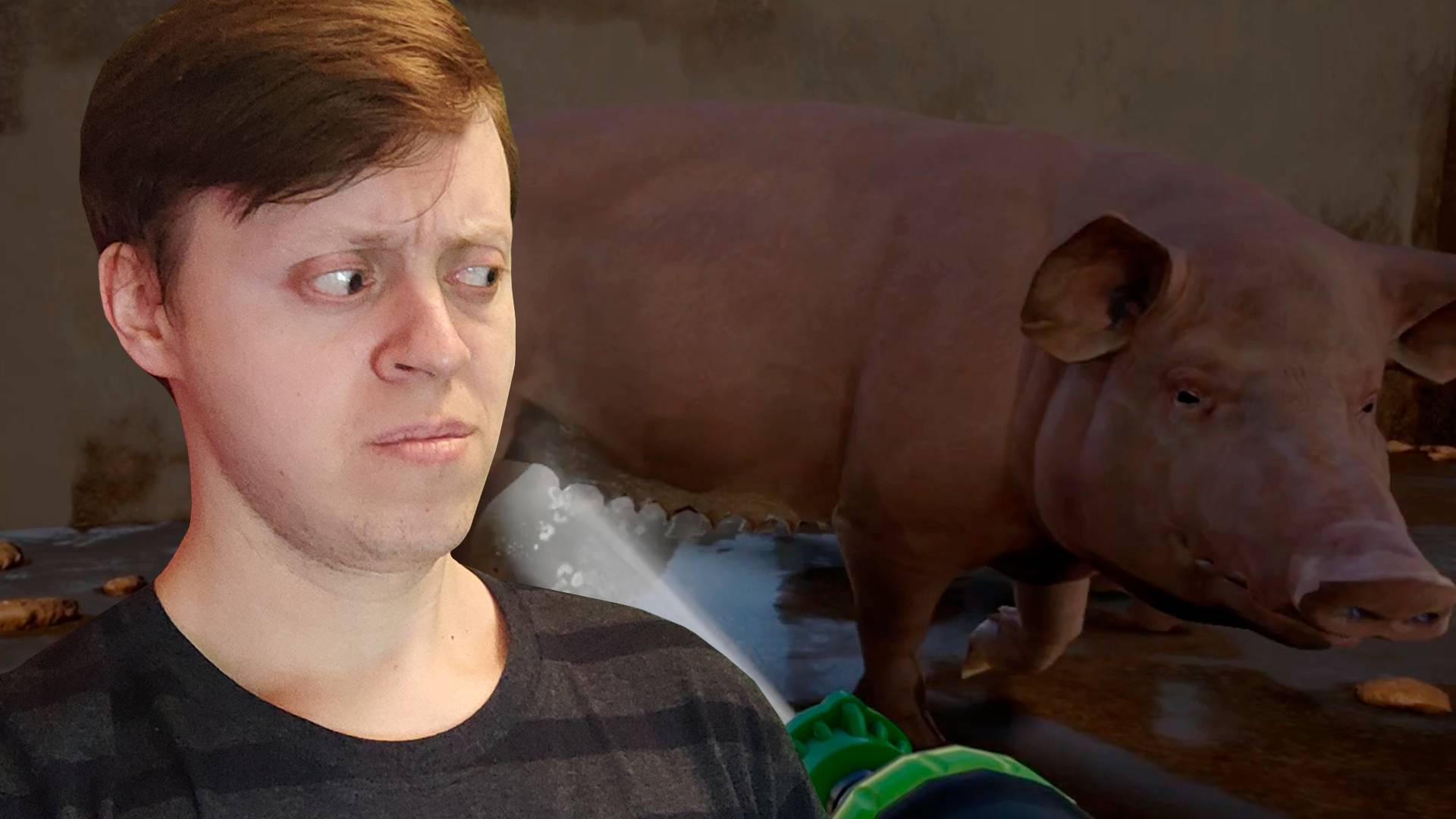 УСТРОИЛСЯ НА РАБОТУ В СВИНАРНИК #1 ► PowerWash Adventure