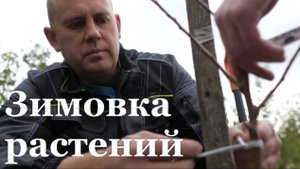 Садоводы ЛНР начали готовится к зиме