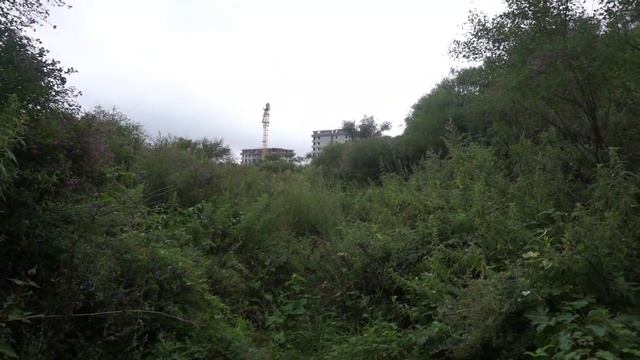 Сопка Сапёрная. Владивостокская крепость.