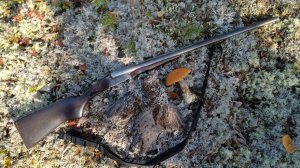 Знакомство с Карелией. Марс атакует. Часть 6