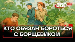 Ездишь на дачу – коси борщевик! Новый закон обяжет всех бороться с опасными растениями с 1 марта