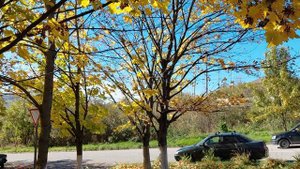 Железноводск  осень    25