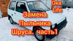 Замена пыльника шруса ока