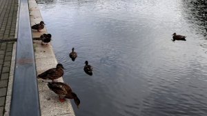 Светлогорск 15.09.2025