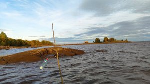 Идущий по воде.проверка сеток в сильный ветер.Финки поймали Корюха!